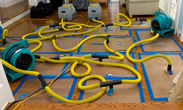 Professional Burst Pipe Water Damage technician working in Elkmont, AL